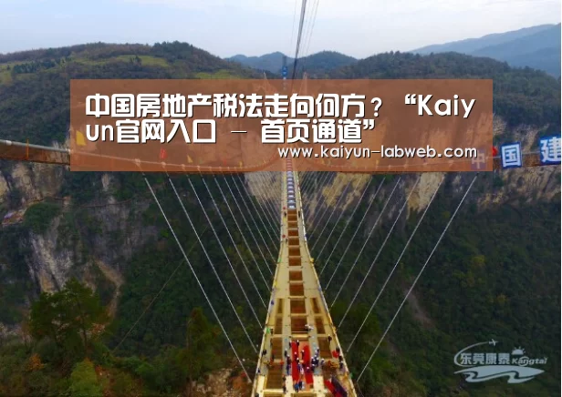 中国房地产税法走向何方?“Kaiyun官网入口 - 首页通道”(图4) Kaiyun官网入口 - 首页通道